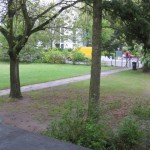 IMG_0132